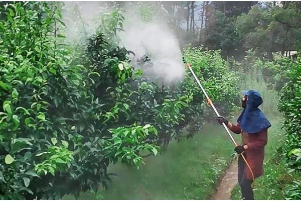 果树全年病虫害如何防治，不同病害的防治方法不同