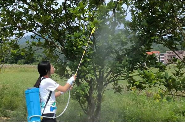 果树全年病虫害如何防治，不同病害的防治方法不同