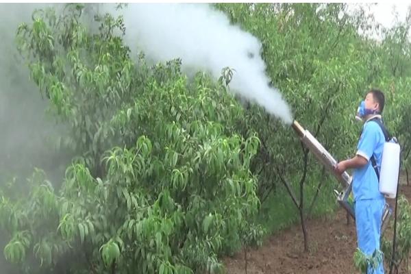 果树全年病虫害如何防治，不同病害的防治方法不同