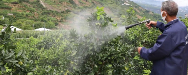 果树全年病虫害如何防治，不同病害的防治方法不同