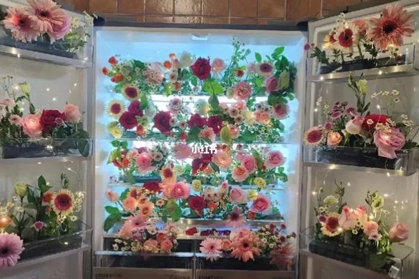 一晚上玫瑰花不放水里会枯萎吗，一般不会枯萎