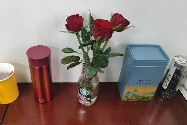 一晚上玫瑰花不放水里会枯萎吗，一般不会枯萎