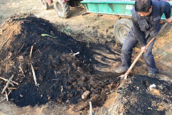 种玉米底肥选择哪种,以农家肥为主