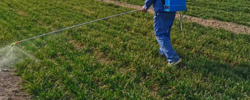 春季小麦病虫害的防治时间，通常是2月下旬至4月初