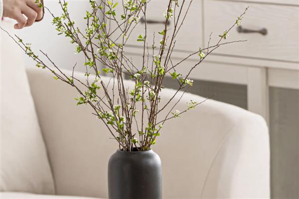 银柳可以养多久，干花可以在花瓶中放好几年