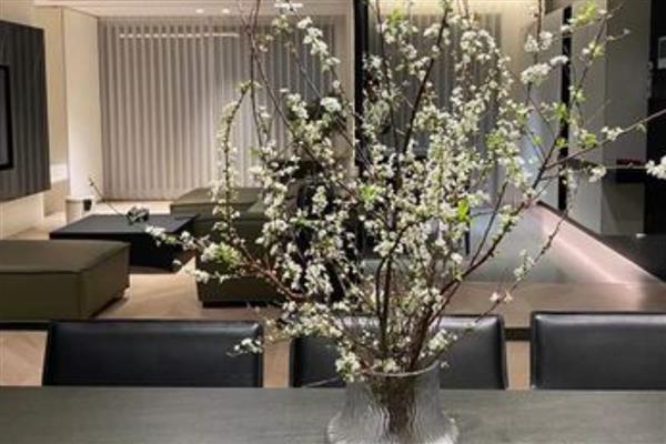 银柳可以养多久，干花可以在花瓶中放好几年