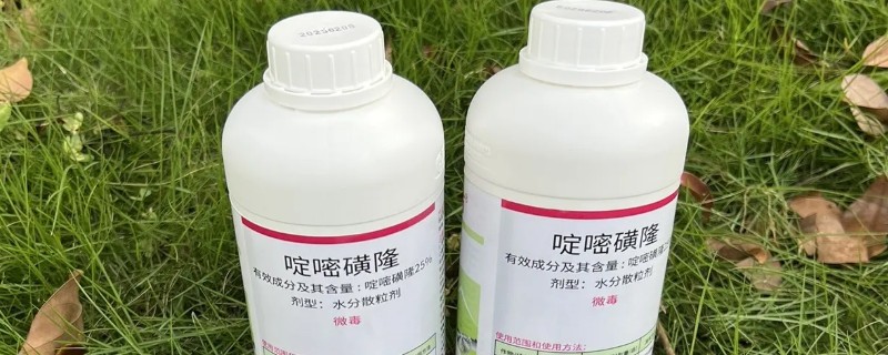 砜嘧磺隆能不能对辣椒使用，可用于辣椒苗后除草