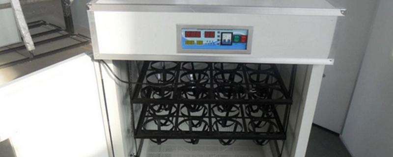 高品质孵化机如何选择，孵化率的高低是关键