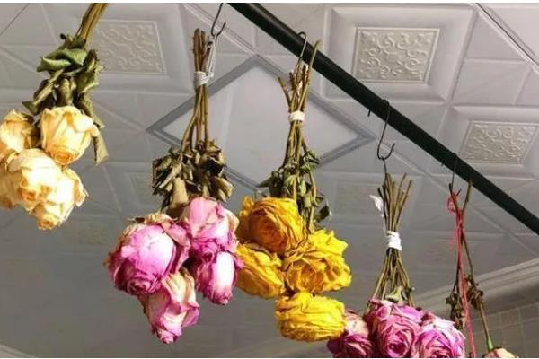 永生花的制做方法，按以下步骤进行