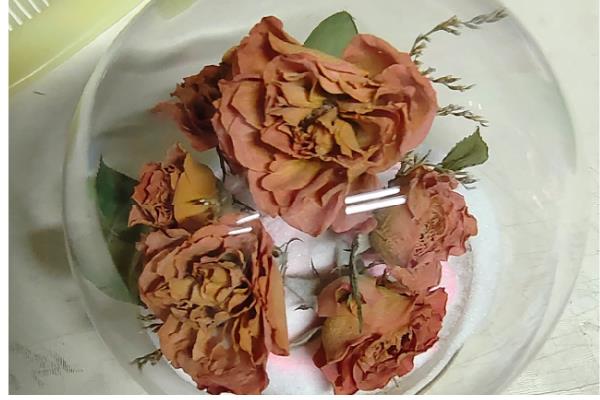 永生花的制做方法，按以下步骤进行