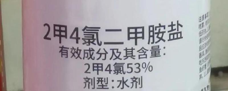 使用二甲四氯二甲胺盐有哪些注意事项，施药时不能重复喷施