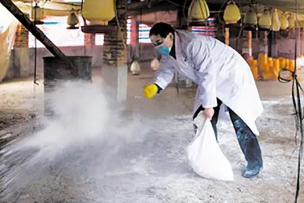 农村养鸡禁忌，以下8点要注意