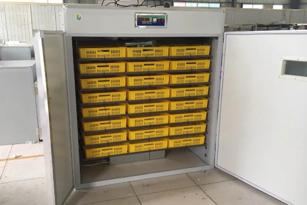 高品质孵化机如何选择，孵化率的高低是关键