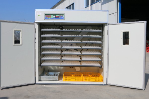 高品质孵化机如何选择，孵化率的高低是关键