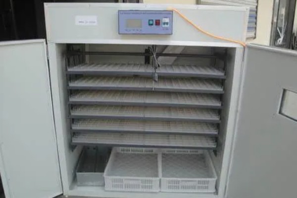 高品质孵化机如何选择，孵化率的高低是关键