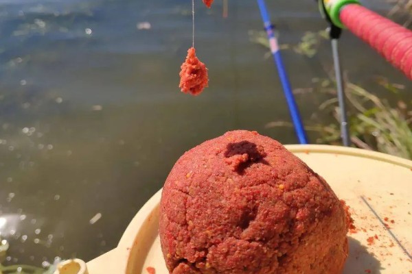 梭鱼能不能钓，适合在石头较多的地方作钓