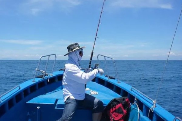 梭鱼能不能钓，适合在石头较多的地方作钓