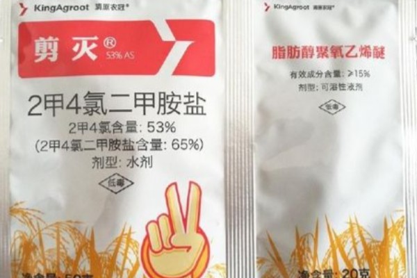 使用二甲四氯二甲胺盐有哪些注意事项，施药时不能重复喷施