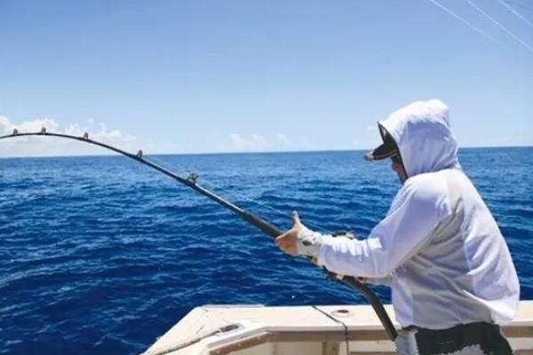 梭鱼能不能钓，适合在石头较多的地方作钓