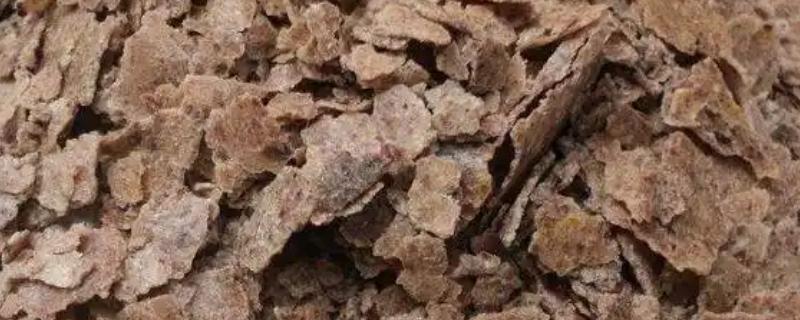 油渣能直接埋土做花肥吗，不可直接埋土做花肥