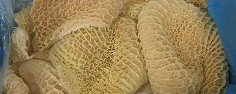 牛有几个胃，有瘤胃、网胃、瓣胃和皱胃