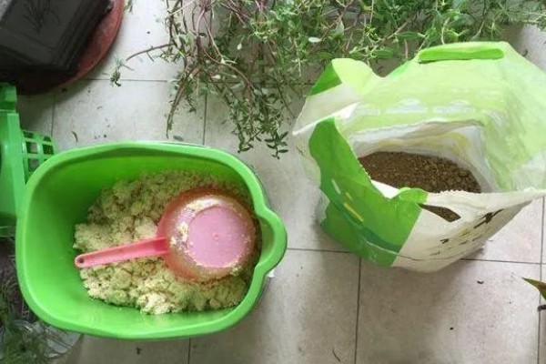 油渣能直接埋土做花肥吗,不可直接埋土做花肥