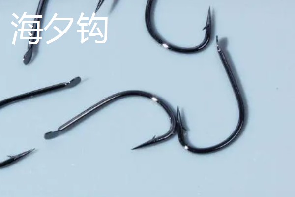 1号海夕钩与1号伊豆钩哪个大，前者更大