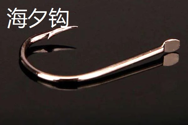 1号海夕钩与1号伊豆钩哪个大，前者更大