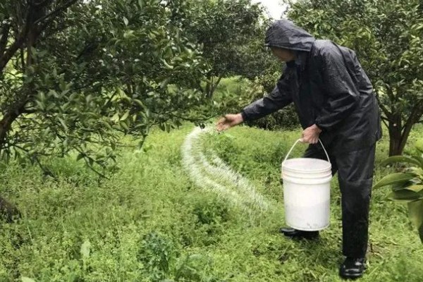 使用含氯化肥的注意事项,忌氯作物不宜使用或要严格控制用量