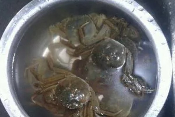 监利大闸蟹的产地,产地在湖北省荆州市监利县