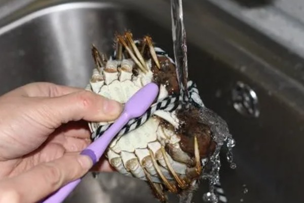 监利大闸蟹的产地,产地在湖北省荆州市监利县