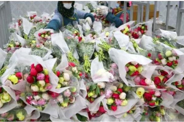 鲜切花花心为什么容易烂，可能是采收时间不当所致