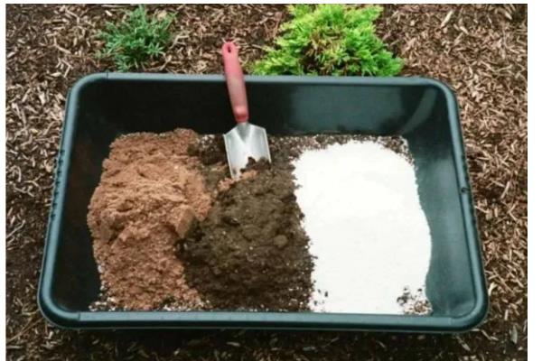 康乃馨小苗错浇高钾肥如何解决，浇水可以稀释肥料