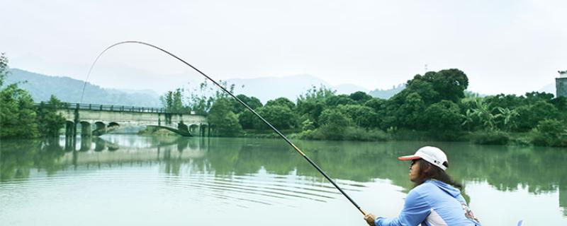 10H鱼竿的品牌推荐，推荐本汀、化氏等