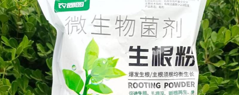 生根剂如何使用，可浇灌或随水深浇等