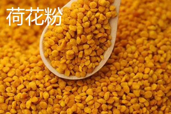 女人适合吃什么花粉，推荐松花粉、荷花粉、茶花粉等