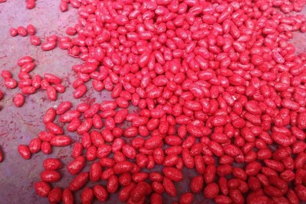 花生播种时怎么防治病害,用咯菌腈拌种可防治根腐病、茎腐病