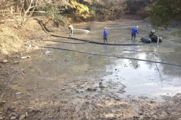 河蟹吃什么食物，吃浮游生物、动物腐尸、蠕虫等