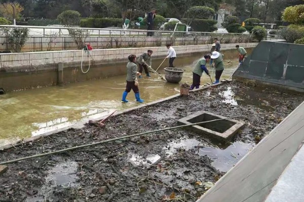河蟹吃什么食物，吃浮游生物、动物腐尸、蠕虫等