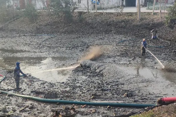 河蟹吃什么食物，吃浮游生物、动物腐尸、蠕虫等