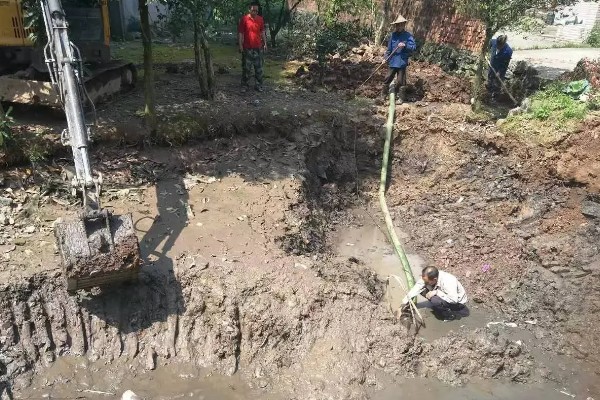 河蟹吃什么食物，吃浮游生物、动物腐尸、蠕虫等