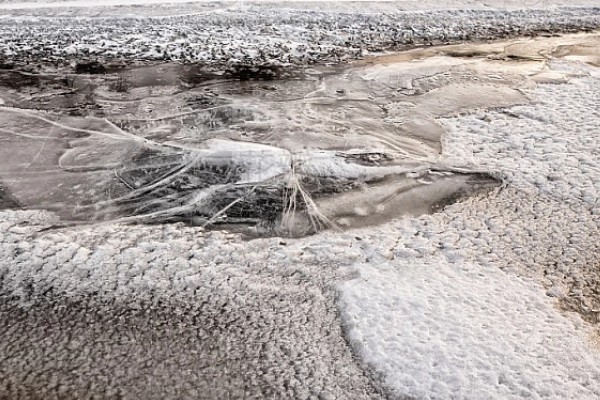 河蟹吃什么食物，吃浮游生物、动物腐尸、蠕虫等
