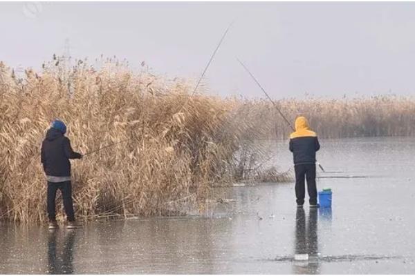 野河冻了薄冰能不能钓鱼,砸破冰面然后在岸上作钓