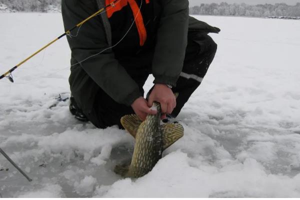 野河冻了薄冰能不能钓鱼,砸破冰面然后在岸上作钓