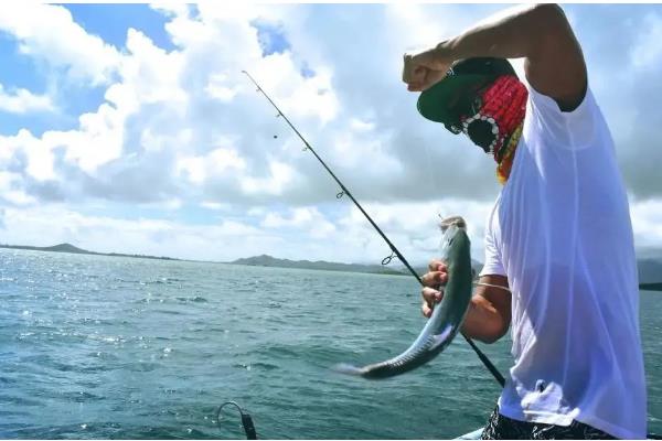 怎么垂钓海鲈鱼，可采取手竿钓法、抛竿钓法、路亚钓法