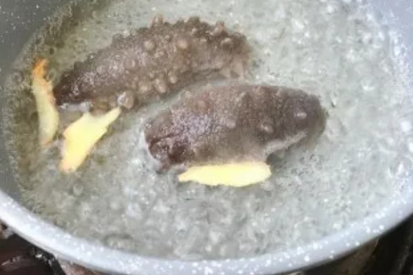 海参怎么去腥，可采取焯水、用白酒浸泡等方式