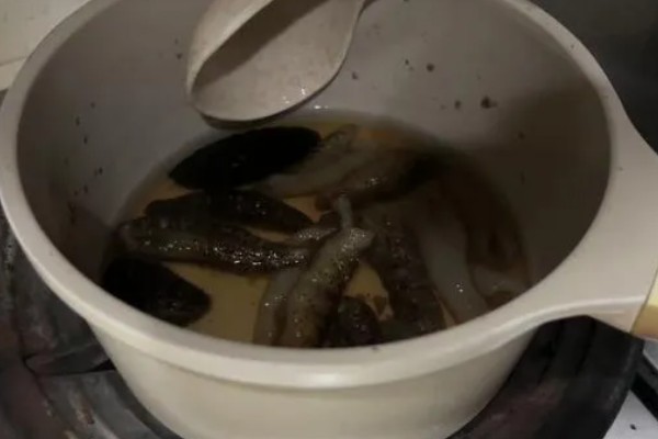 海参怎么去腥，可采取焯水、用白酒浸泡等方式