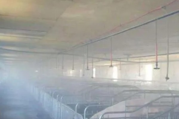 夏季猪场的防暑降温措施，通风是降温的重要措施之一