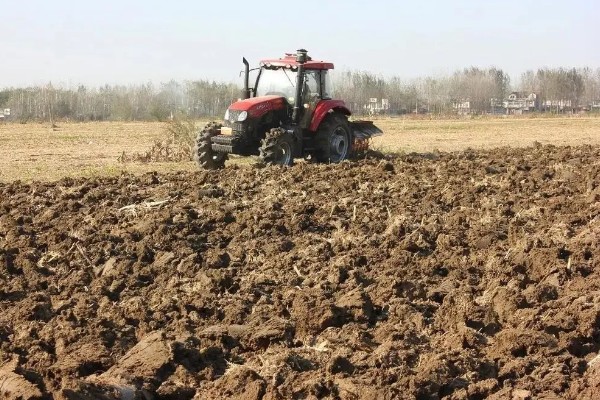 玉米螟怎么防治，成虫期可使用黑光灯