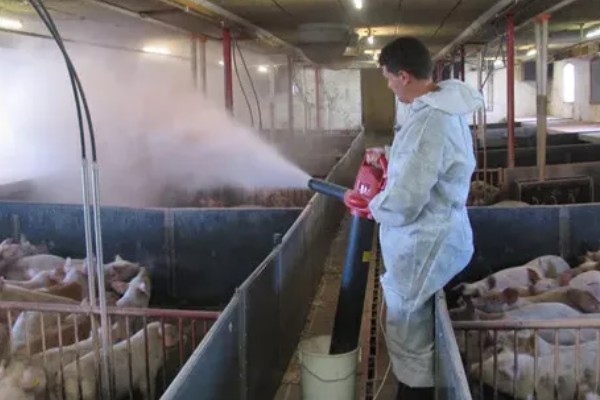 夏季猪场的防暑降温措施，通风是降温的重要措施之一
